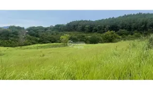 CHAME / SORA / 13.9 HECTARES / FARM / PAVED ROAD / COOL CLIMATE