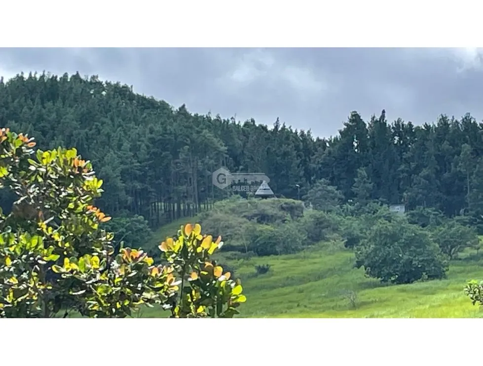 Terrain à bâtir à Chame à vendre