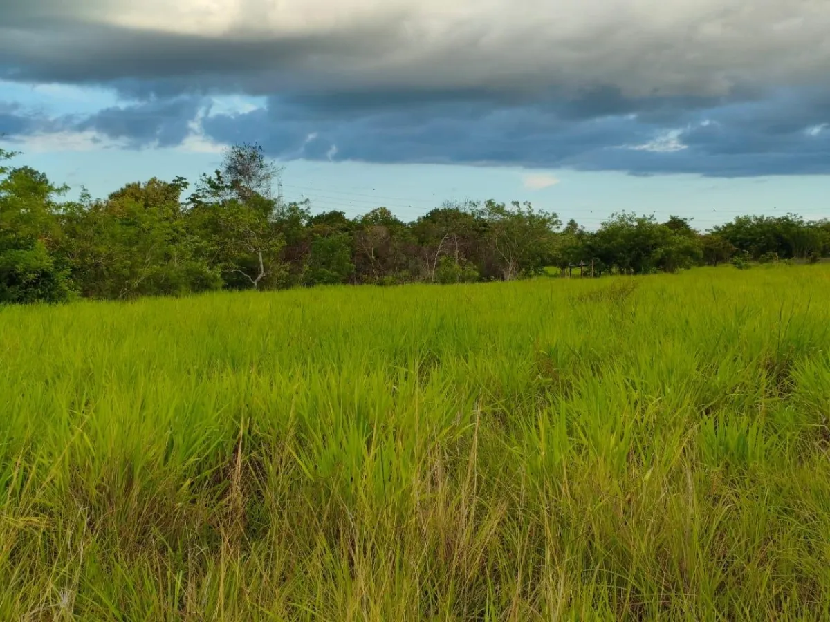Se vende lote de terreno de 2.5 hectáres en El Retiro, Antón, Coclé