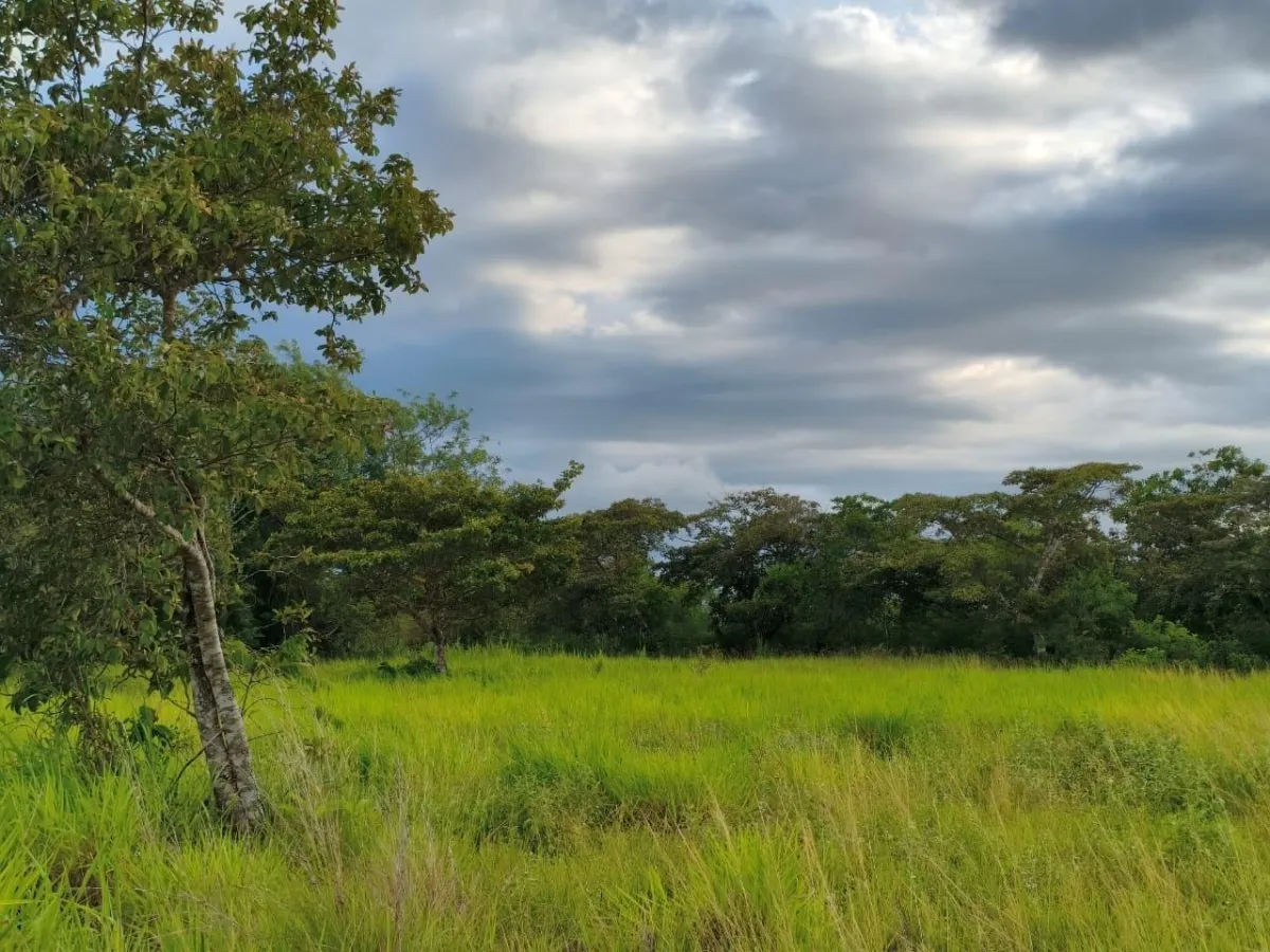 Se vende lote de terreno de 2.5 hectáres en El Retiro, Antón, Coclé