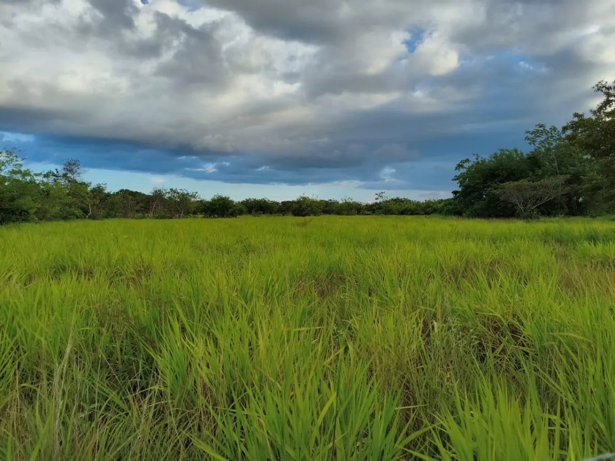 Se vende lote de terreno de 2.5 hectáres en El Retiro, Antón, Coclé