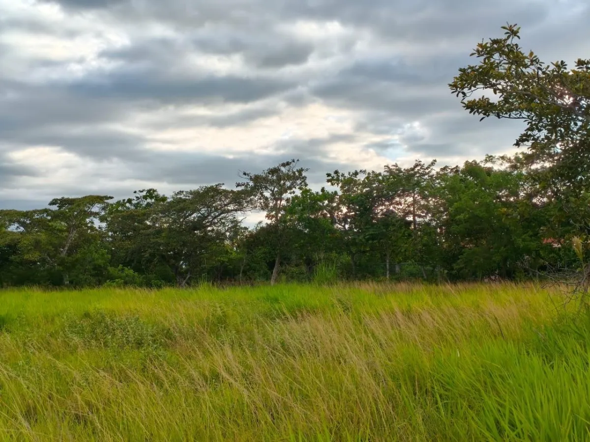 Se vende lote de terreno de 2.5 hectáres en El Retiro, Antón, Coclé