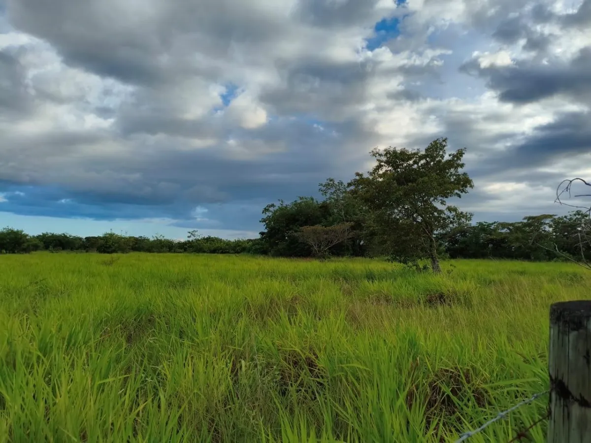 Se vende lote de terreno de 2.5 hectáres en El Retiro, Antón, Coclé