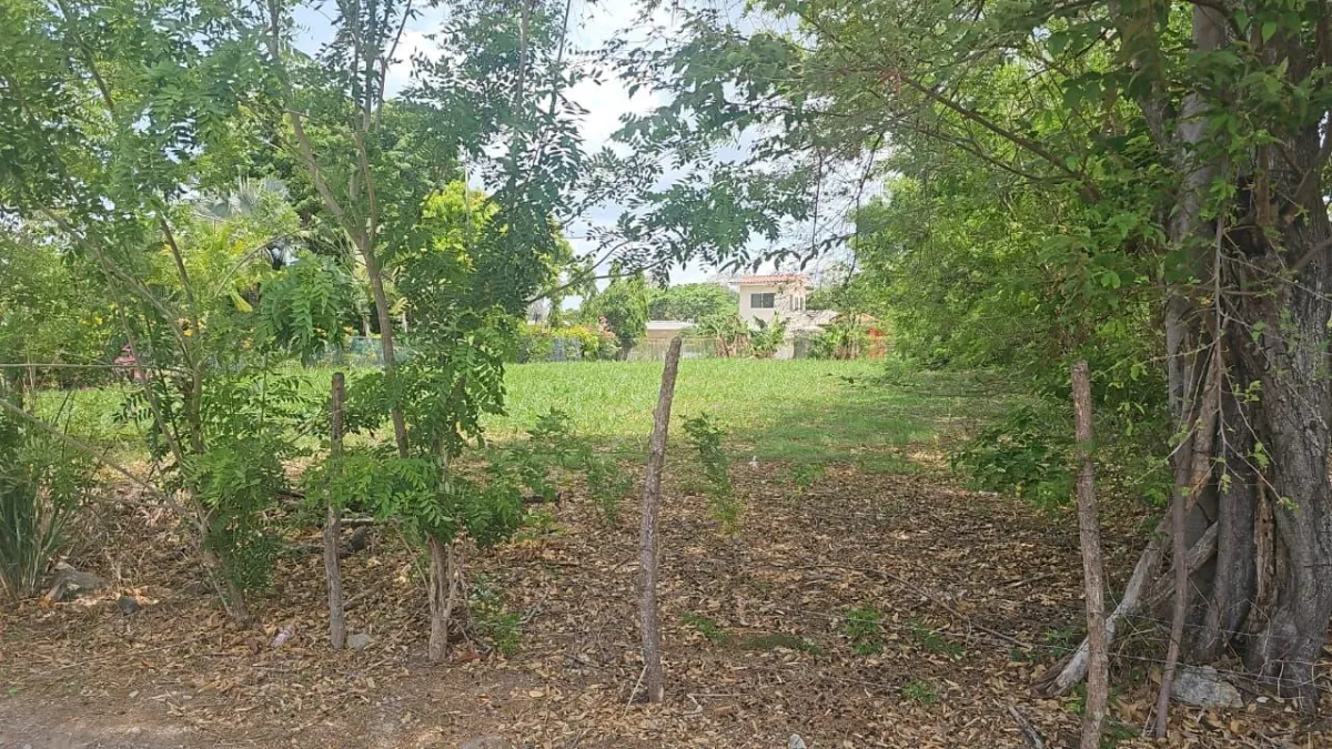 Flat lot 1250m2 in Coronado