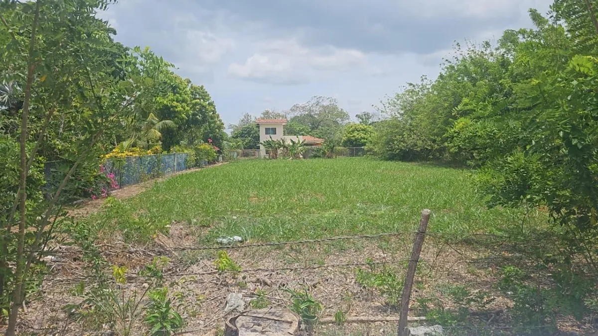 Flat lot 1250m2 in Coronado