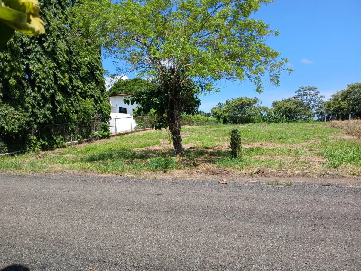 Residential Land for Sale, Santa Monica
