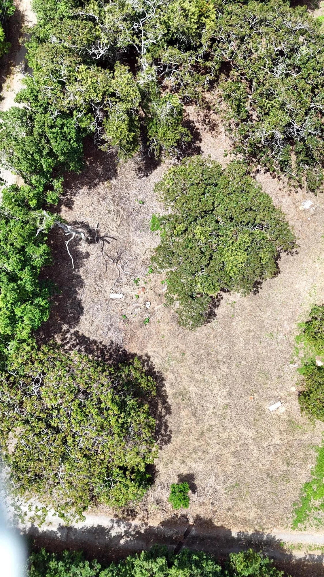 Lot in Palmira, Boquete with Barú and valley views