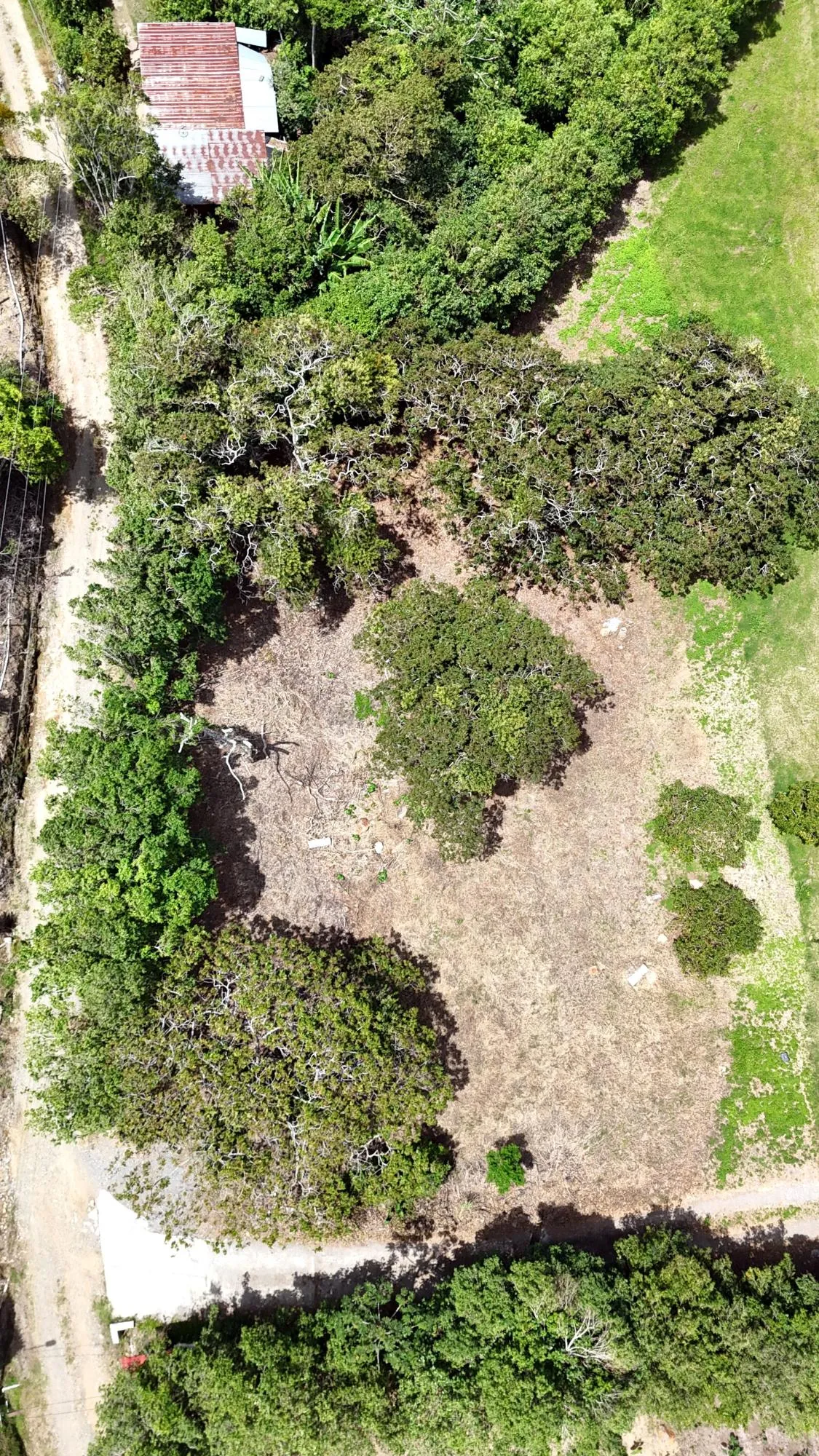 Lot in Palmira, Boquete with Barú and valley views