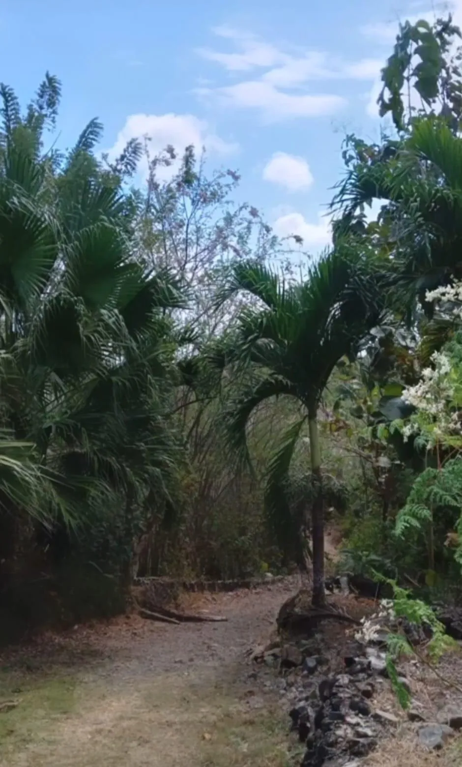 26-hectare land with ocean and mountain views.