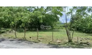 TERRENO / GORGONA / PLAYA MALIBU / 1000 M2 / PLANO / CLIMAS FRESCOS