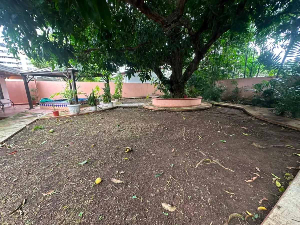 House for Sale in Hato Pintado, Pueblo Nuevo