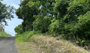 2000 M2 Lot on the Road to El Valle $25,000