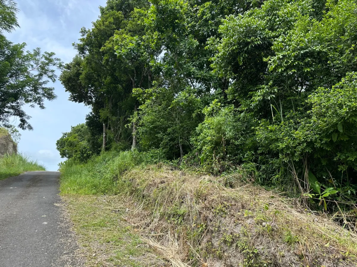 2000 M2 Lot on the Road to El Valle $25,000
