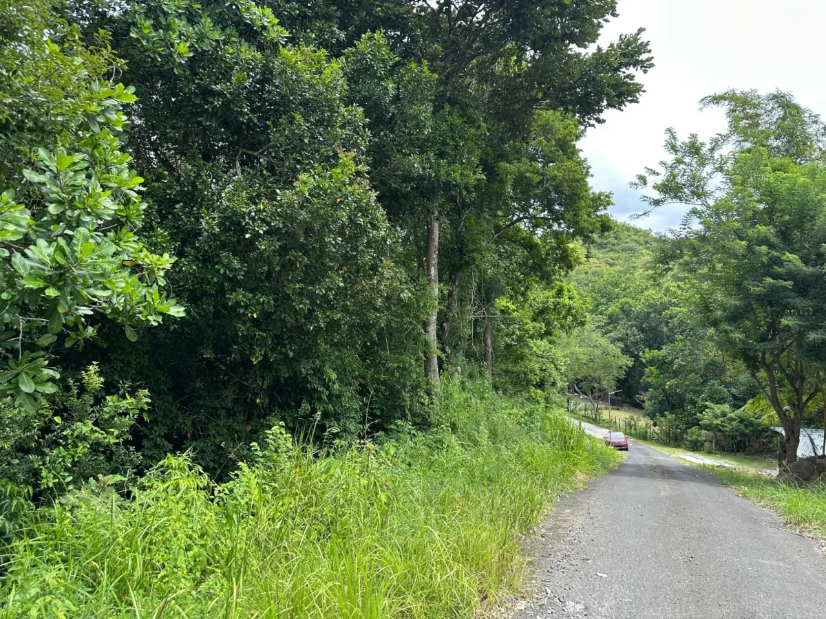 2000 M2 Lot on the Road to El Valle $25,000