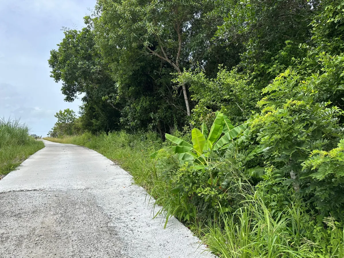 2000 M2 Lot on the Road to El Valle $25,000