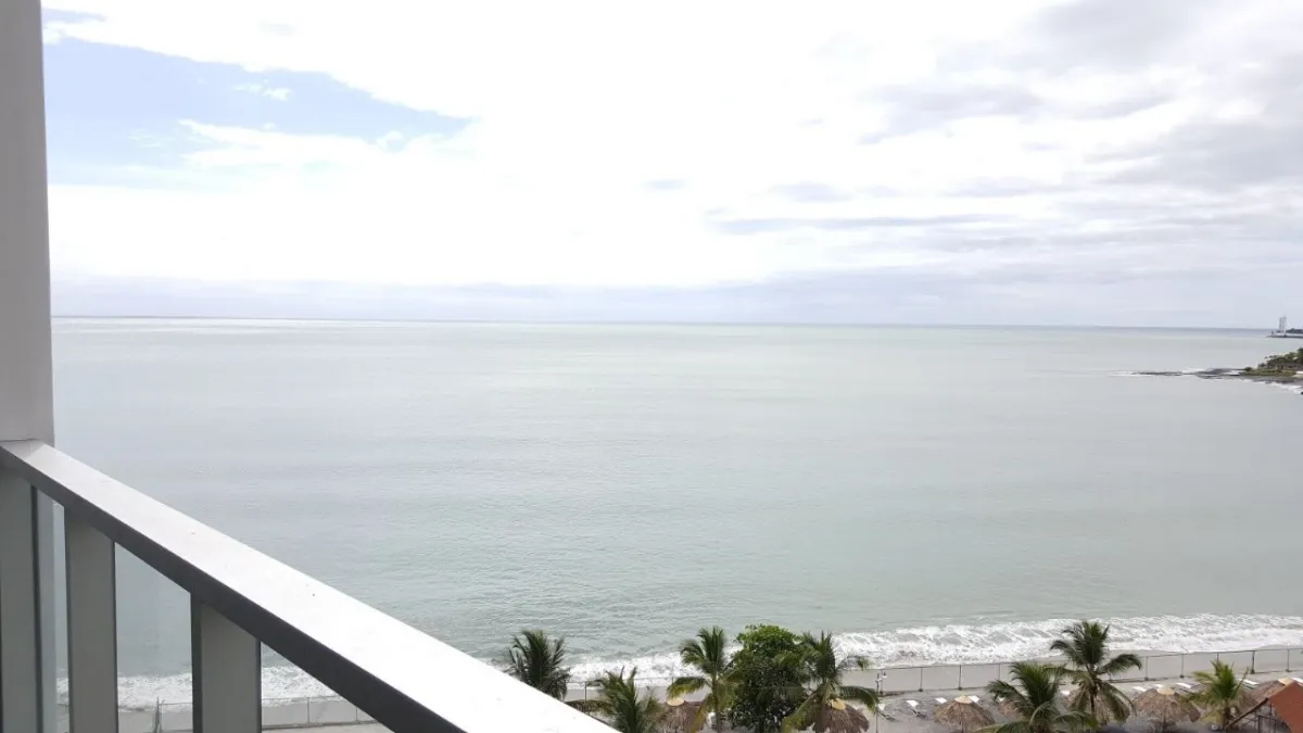 ROYAL PALM