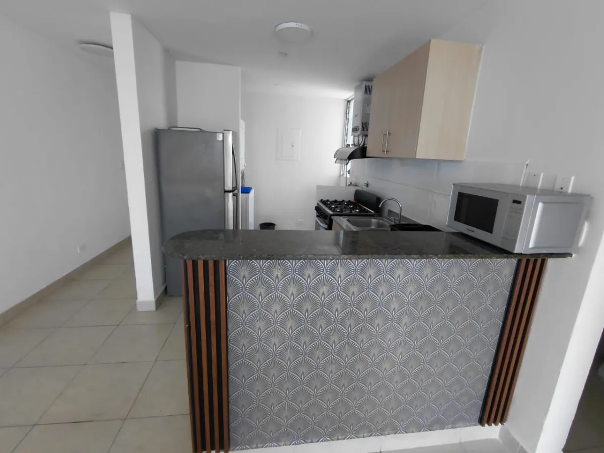 Apartment Rental in Fernandez de Cordoba