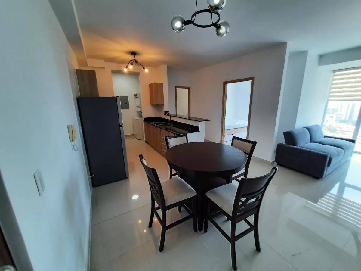 For rent: a brand-new, fully furnished apartment