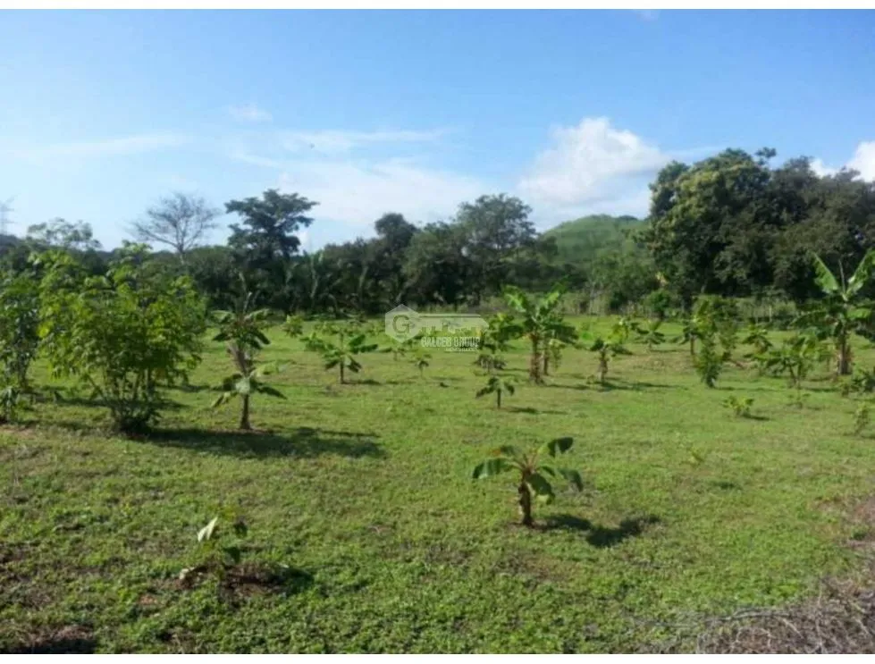 Дом в Chame на продажу