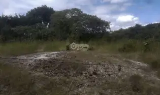 LAND FOR SALE IN SAN CARLOS WITH 7000M2 AND RIVER ACCESS