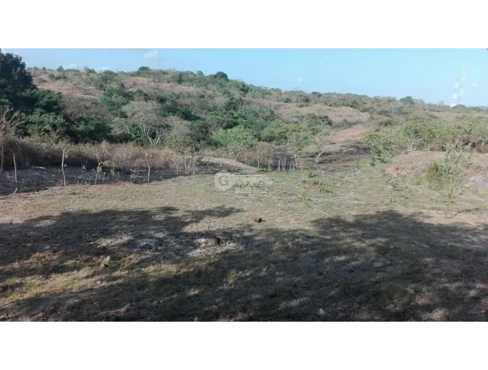 LAND FOR SALE IN SAN CARLOS WITH 7000M2 AND RIVER ACCESS