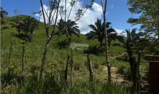 EL CACAO / CAPIRA / 86 HECTARES / IDEAL FOR LIVESTOCK AND AGRICULTURE