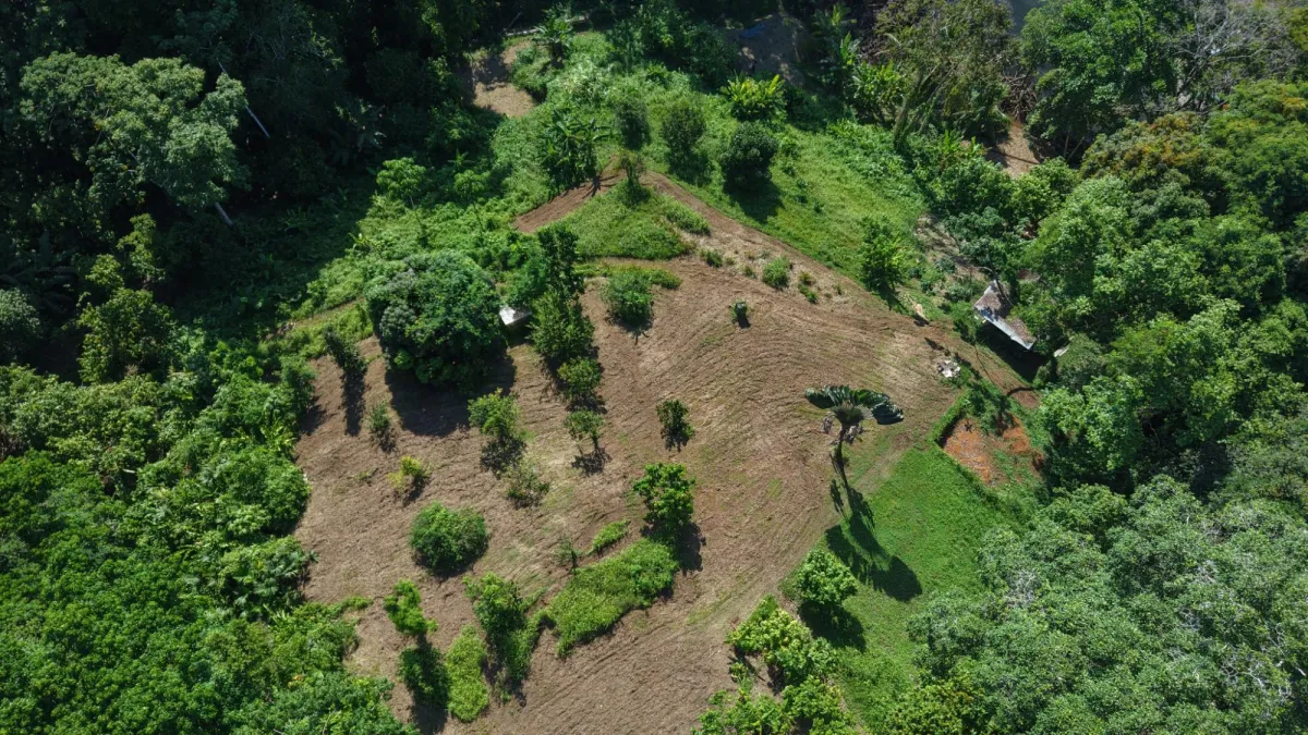10 hectáreas de terreno frente al mar con título de propiedad
