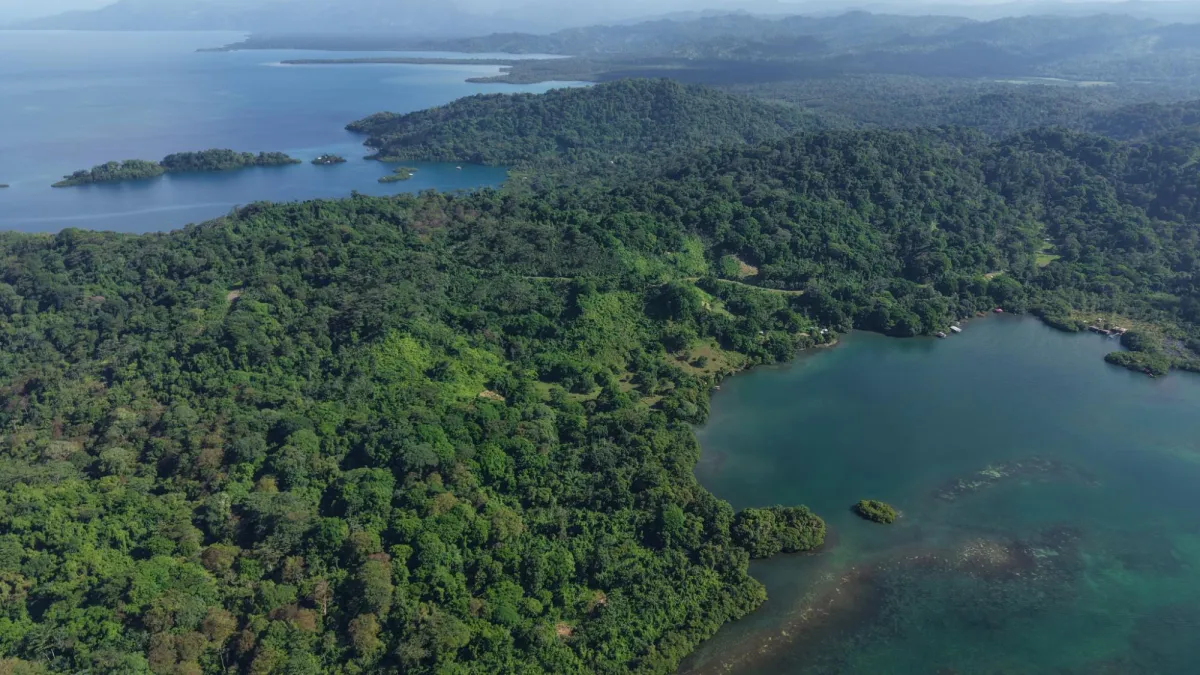 10 hectáreas de terreno frente al mar con título de propiedad