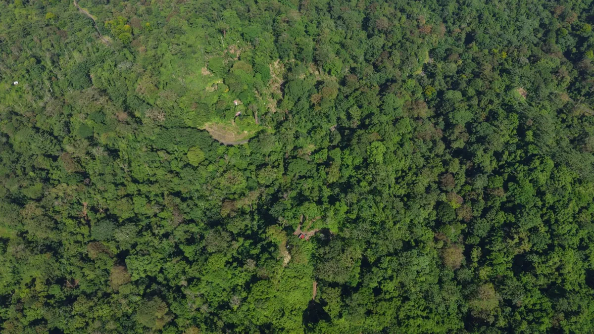 10 hectáreas de terreno frente al mar con título de propiedad