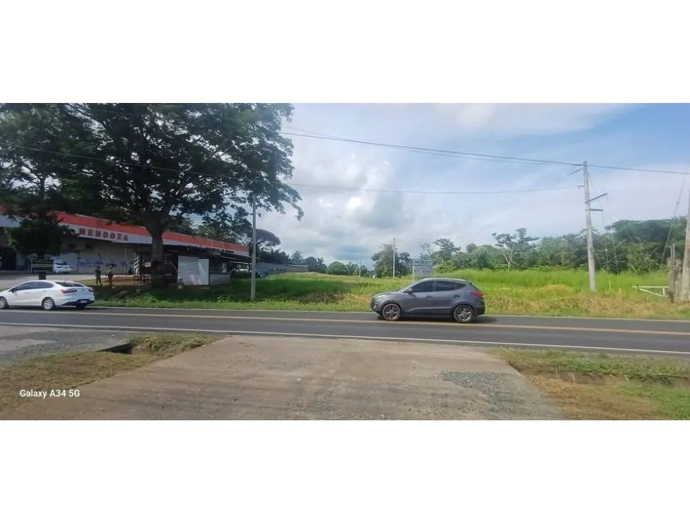 PANAMA OESTE / VIA LAS MENDOZAS / SE VENDE TERRENO COMERCIAL