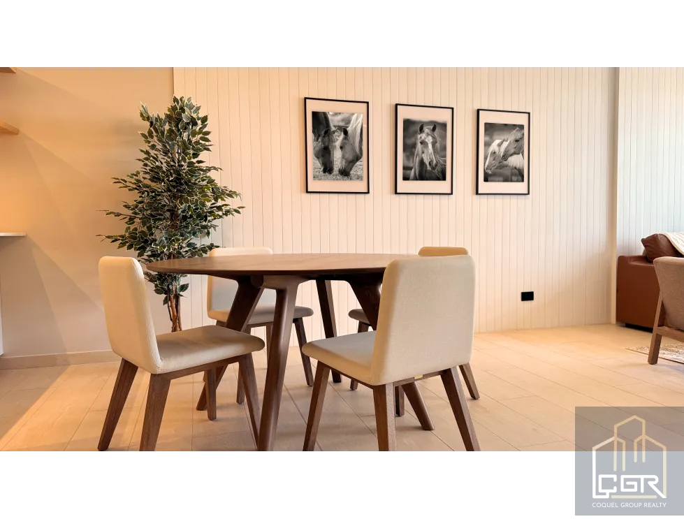 VENTA DE APARTAMENTO EN PH PINOALTO BOQUETE