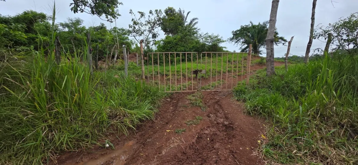 MONTE VIEJO LAND FOR SALE
