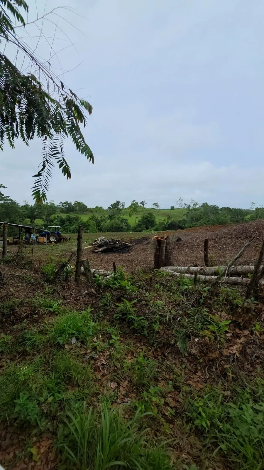 MONTE VIEJO LAND FOR SALE