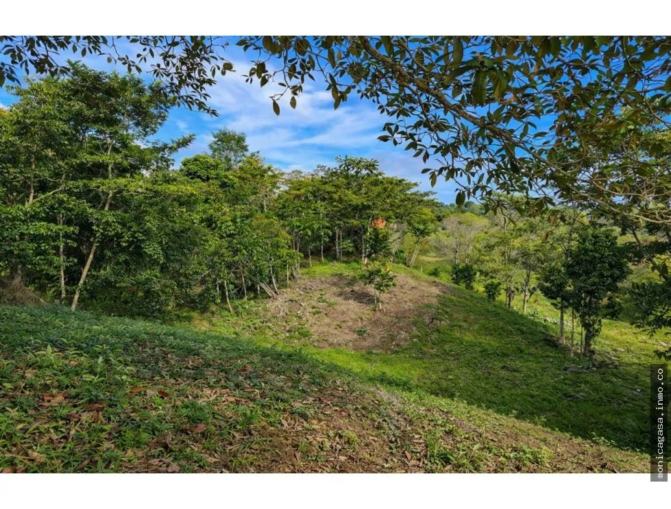 Terrain à bâtir à Bocas del Toro à vendre