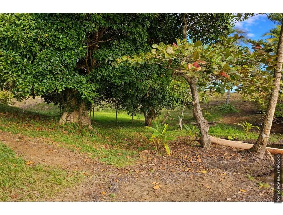 Terrain à bâtir à Bocas del Toro à vendre