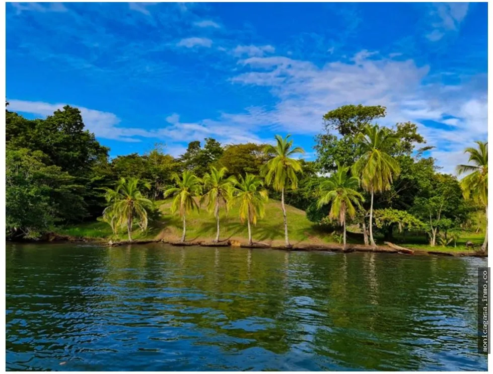 Terrain à bâtir à Bocas del Toro à vendre