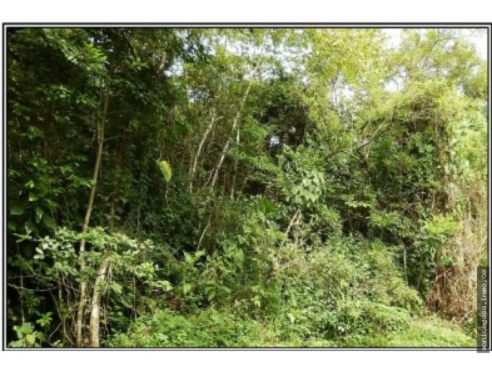 Terrain à bâtir à Chame à vendre