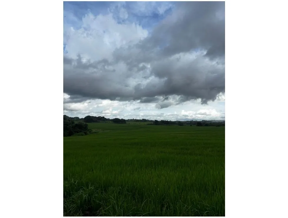 Terre / Ferme à Las Tablas à vendre