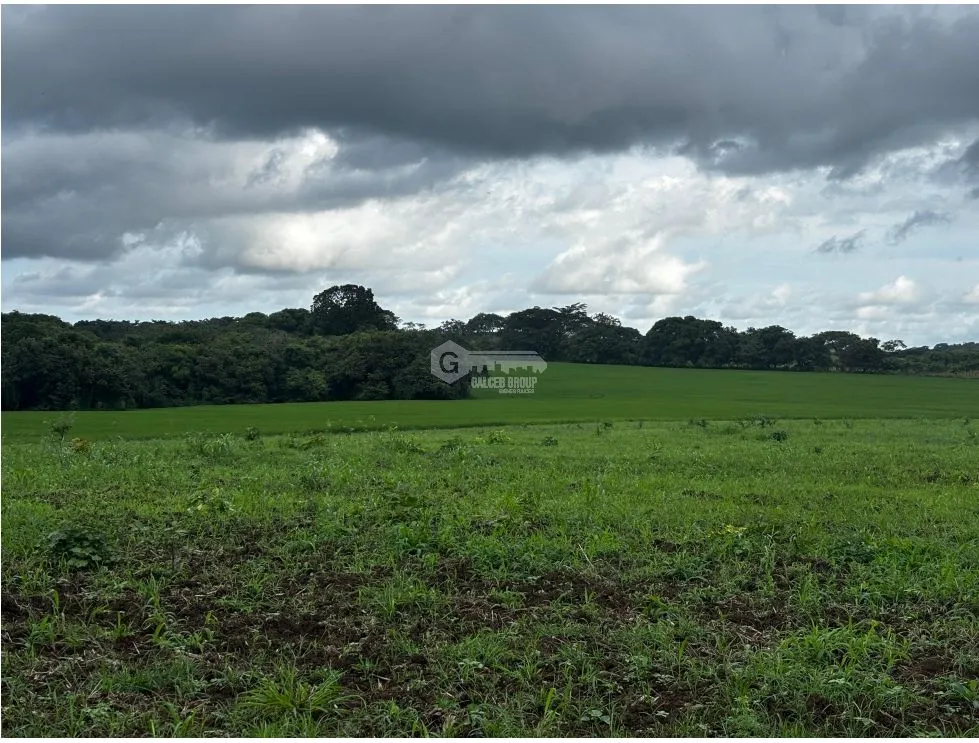 Terre / Ferme à Las Tablas à vendre
