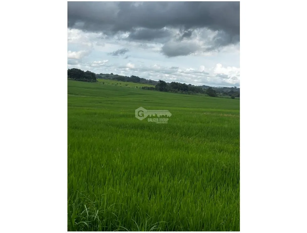 Terre / Ferme à Las Tablas à vendre