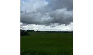 Terre / Ferme à Las Tablas à vendre