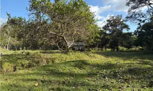 Terre / Ferme à Capira à vendre