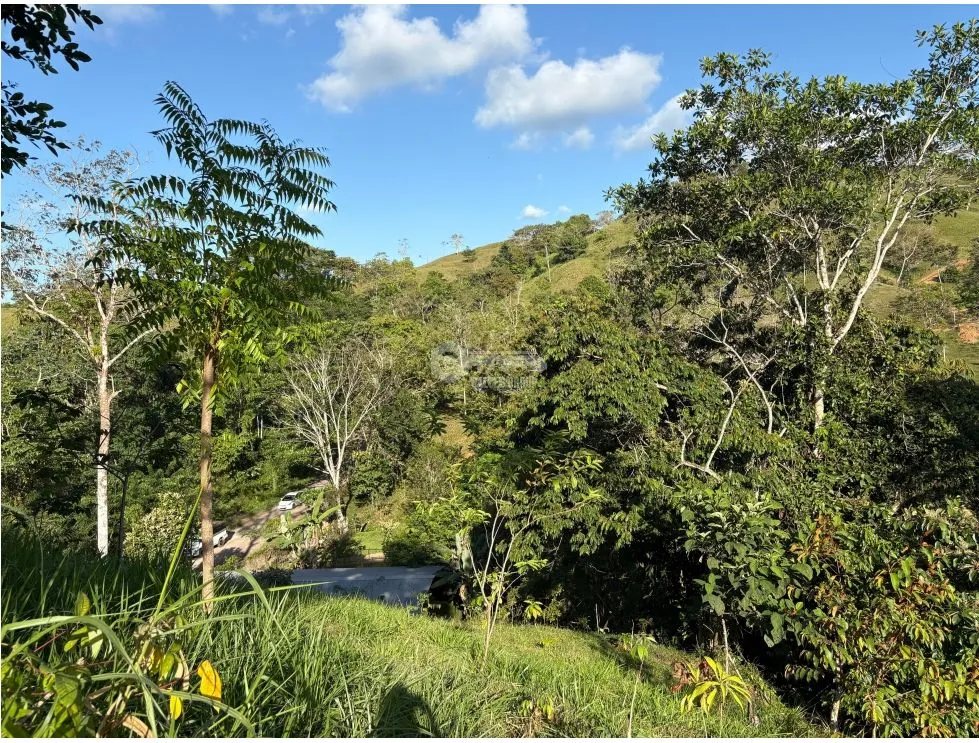 Terre / Ferme à Capira à vendre
