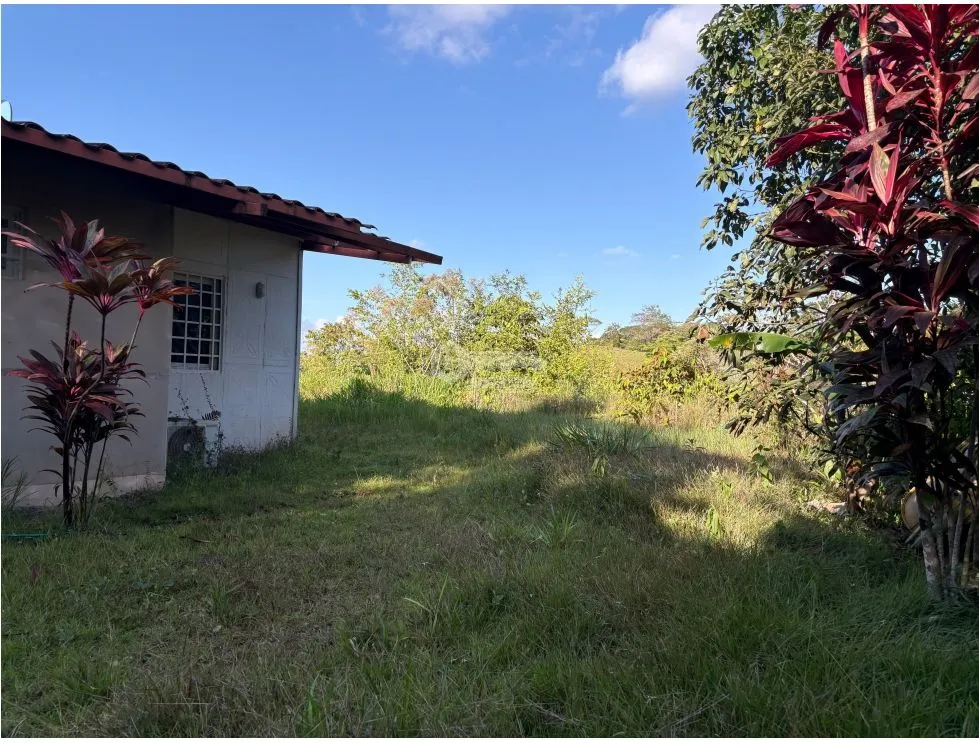 Terre / Ferme à Capira à vendre