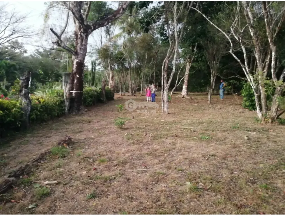 Terrain à bâtir à Chame à vendre