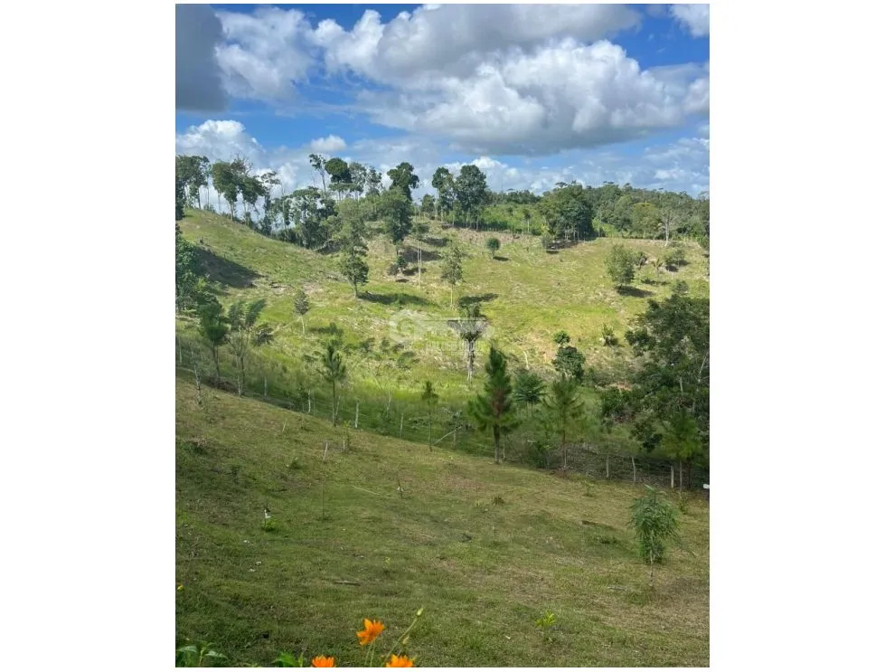 Terre / Ferme à Capira à vendre