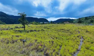 Amplio Lote Residencial en Venta – Paso Ancho