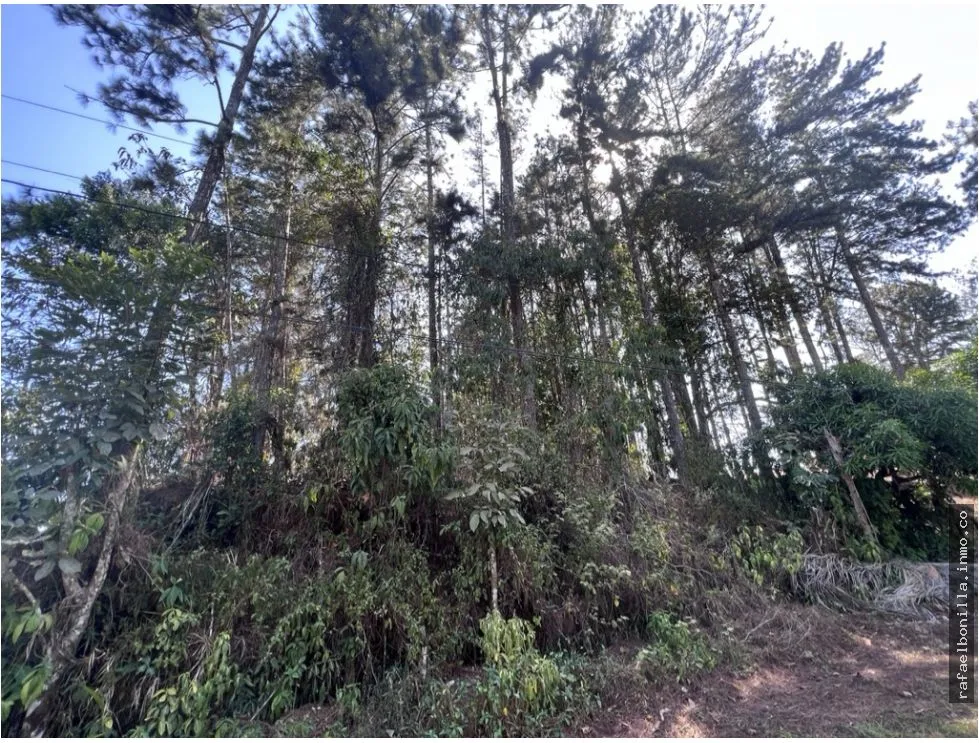 Terrain à bâtir à Pacora à vendre