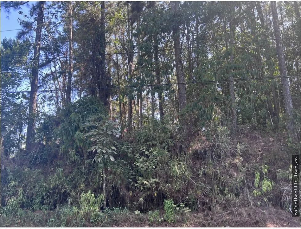 Terrain à bâtir à Pacora à vendre