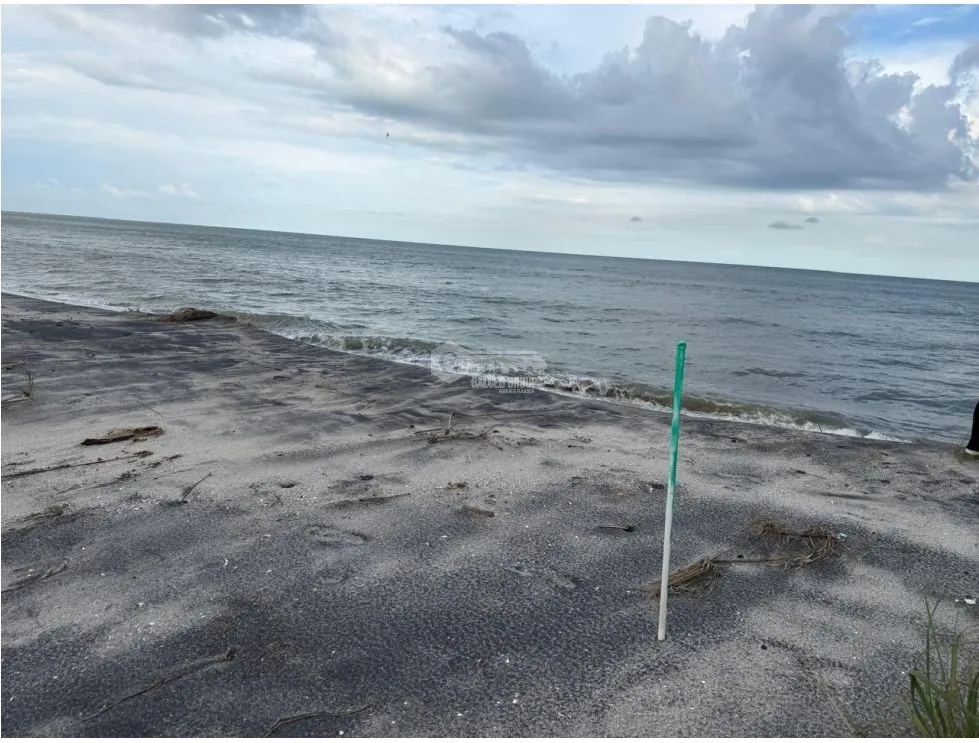 BEACHFRONT LOT FOR SALE IN GORGONA MALIBU BEACH 1200 M